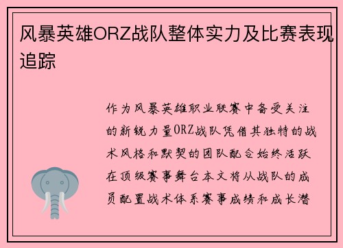 风暴英雄ORZ战队整体实力及比赛表现追踪