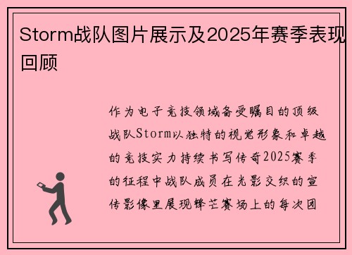 Storm战队图片展示及2025年赛季表现回顾